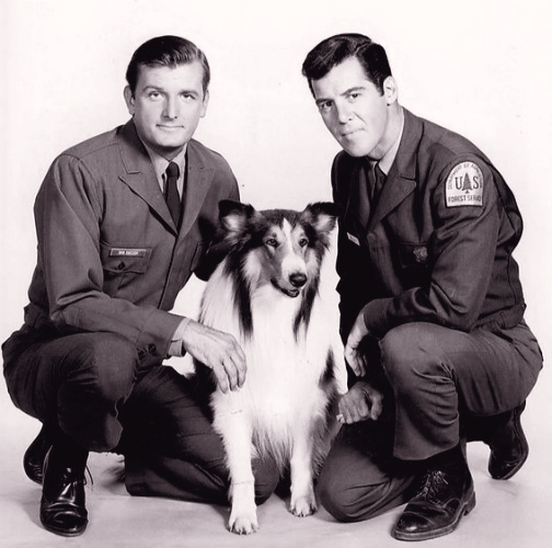 Jack Demave, Jed Allan, and Lassie