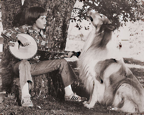 Michael Sharrett and Lassie