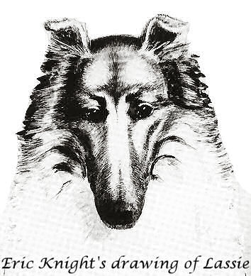 Eric Knight's drawing of Lassie