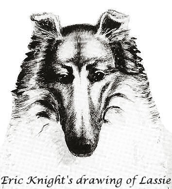 Eric Knight's Drawing of Lassie