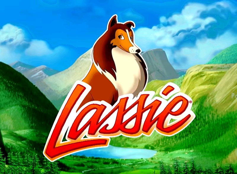 Lassie Saved Timmy So Many Times She Eventually Went Pro