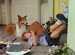 Lassie and Will